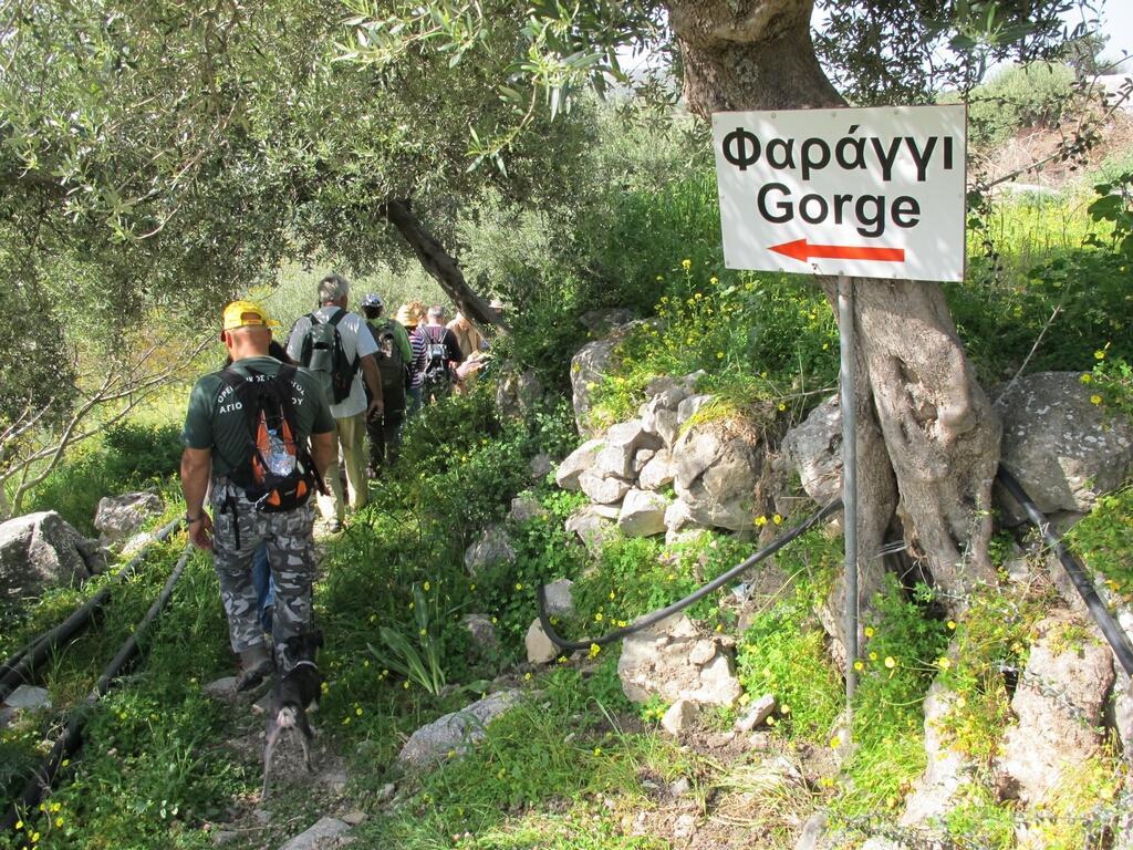 Philoxenia Rooms Sitia  Dış mekan fotoğraf